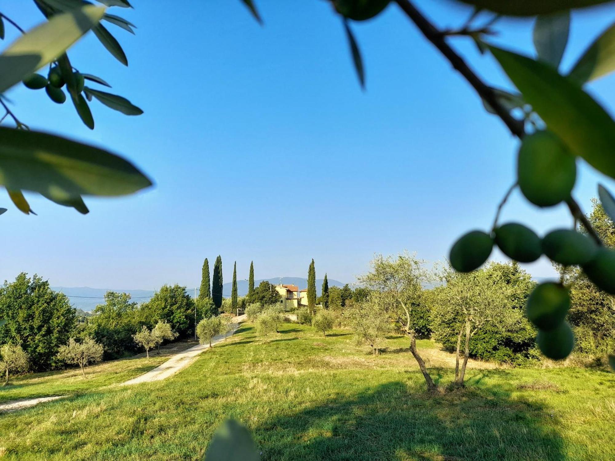 Casa Giulia Villa Reggello Bagian luar foto